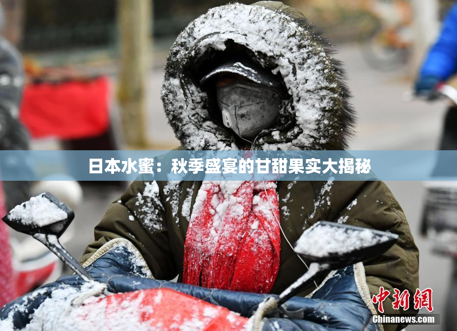 日本水蜜：秋季盛宴的甘甜果实大揭秘