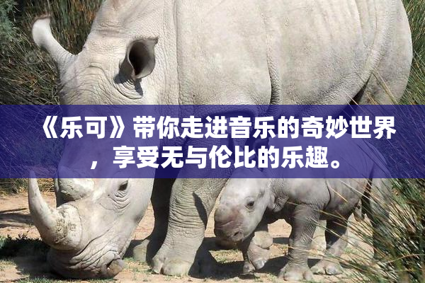 《乐可》带你走进音乐的奇妙世界，享受无与伦比的乐趣。