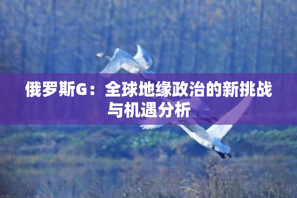 俄罗斯G：全球地缘政治的新挑战与机遇分析