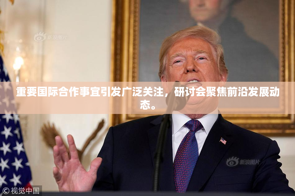 重要国际合作事宜引发广泛关注，研讨会聚焦前沿发展动态。
