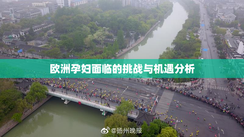 欧洲孕妇面临的挑战与机遇分析