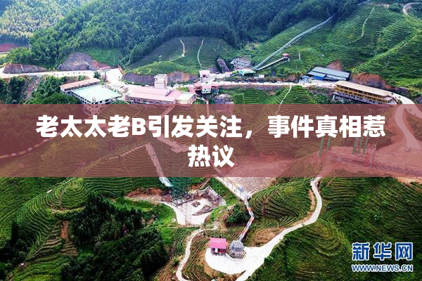 老太太老B引发关注，事件真相惹热议