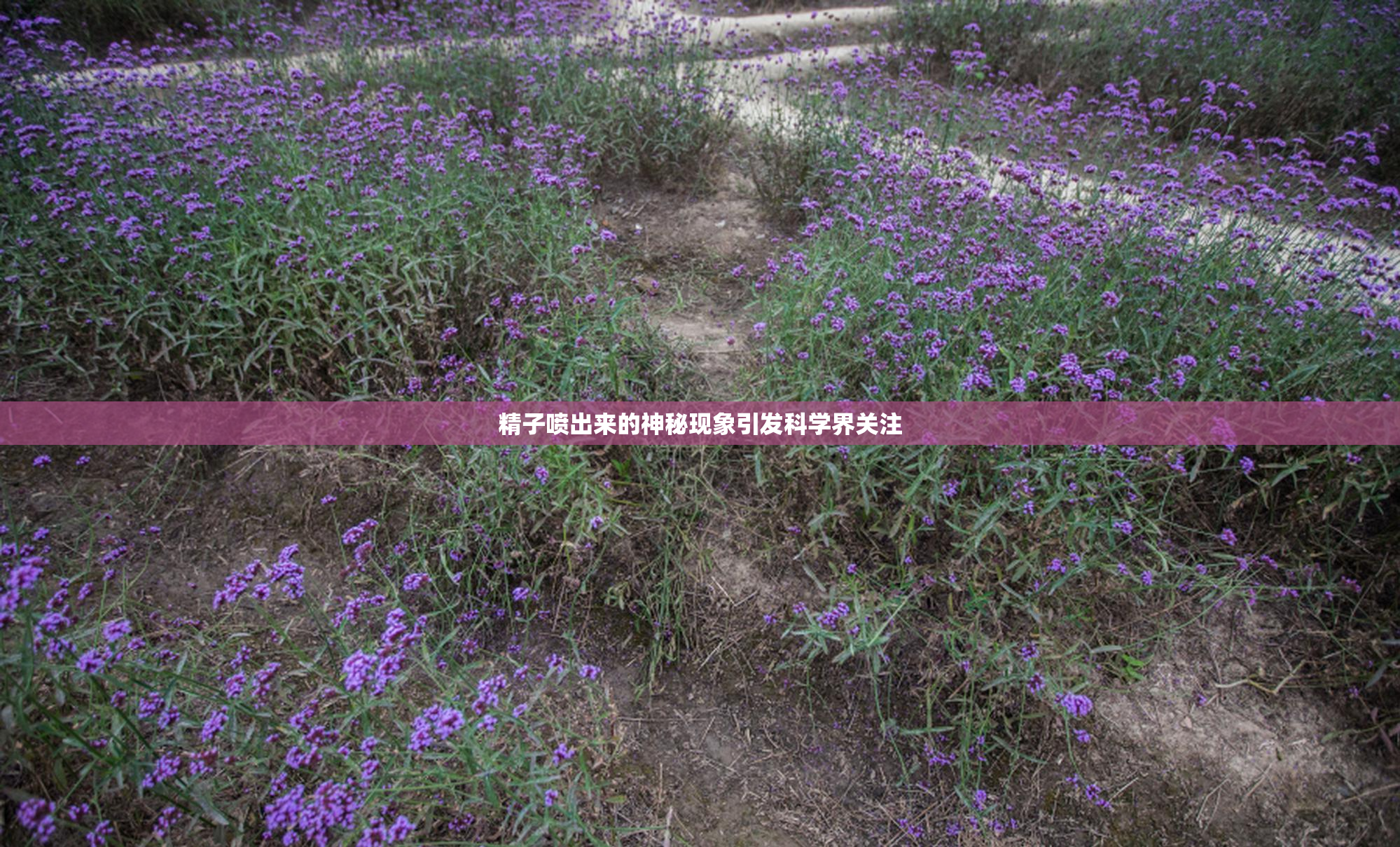精子喷出来的神秘现象引发科学界关注