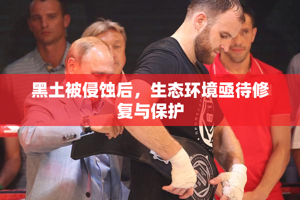 黑土被侵蚀后，生态环境亟待修复与保护