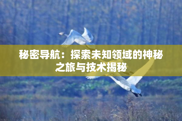 秘密导航：探索未知领域的神秘之旅与技术揭秘