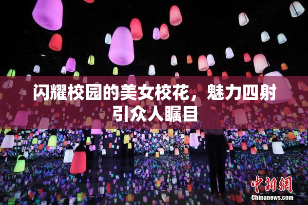 闪耀校园的美女校花，魅力四射引众人瞩目
