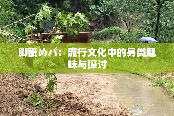 脚舐めパ：流行文化中的另类趣味与探讨