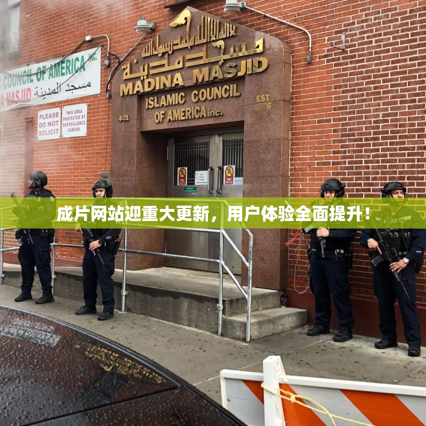 成片网站迎重大更新，用户体验全面提升！