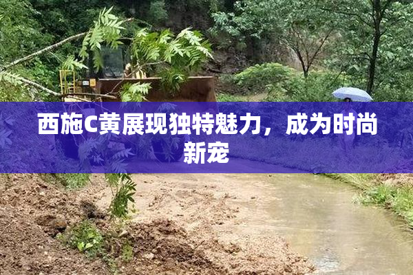西施C黄展现独特魅力，成为时尚新宠