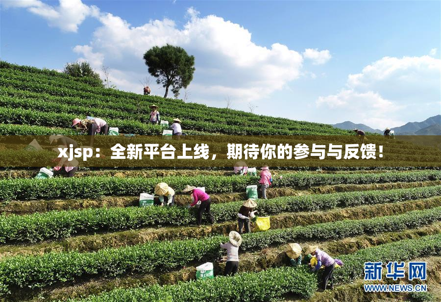 xjsp：全新平台上线，期待你的参与与反馈！