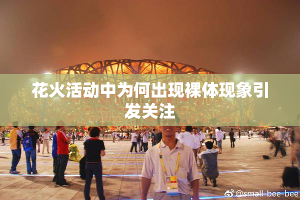 花火活动中为何出现裸体现象引发关注