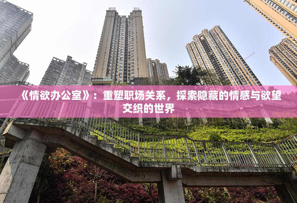 《情欲办公室》：重塑职场关系，探索隐藏的情感与欲望交织的世界