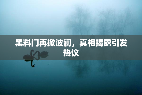 黑料门再掀波澜，真相揭露引发热议