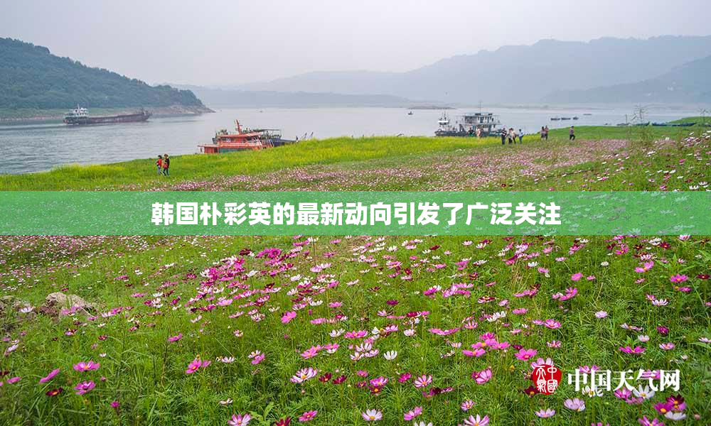 韩国朴彩英的最新动向引发了广泛关注