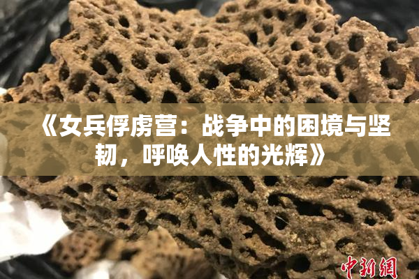 《女兵俘虏营：战争中的困境与坚韧，呼唤人性的光辉》