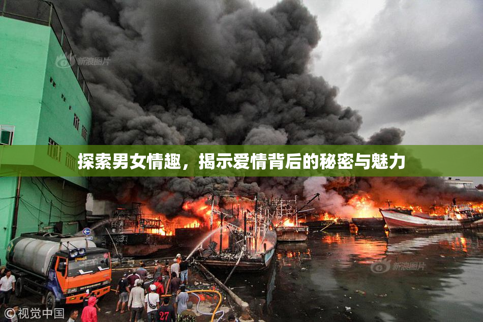 探索男女情趣，揭示爱情背后的秘密与魅力