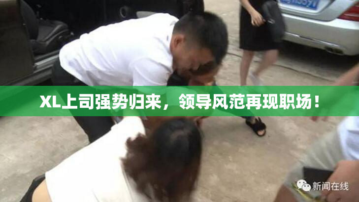 XL上司强势归来，领导风范再现职场！