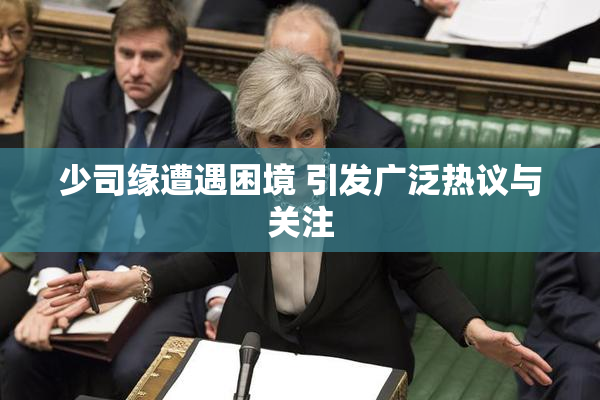 少司缘遭遇困境 引发广泛热议与关注
