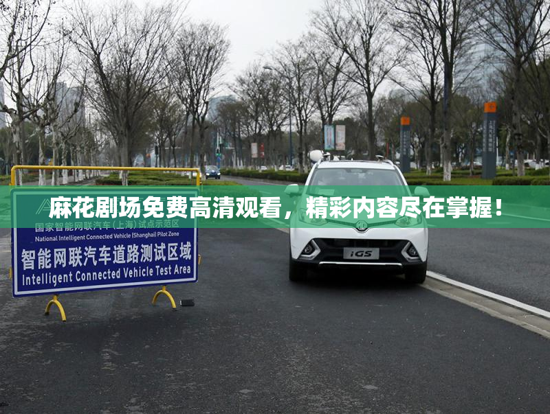 麻花剧场免费高清观看，精彩内容尽在掌握！