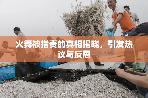 火舞被指责的真相揭晓，引发热议与反思