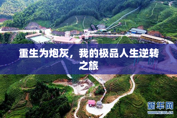 重生为炮灰，我的极品人生逆转之旅