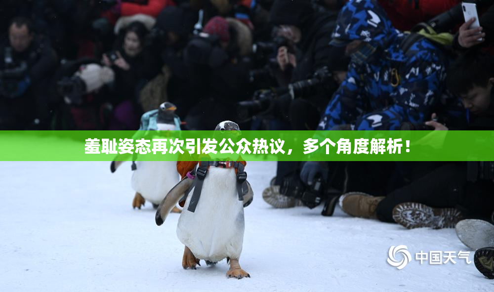 羞耻姿态再次引发公众热议，多个角度解析！