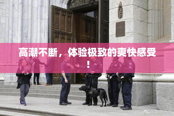 高潮不断，体验极致的爽快感受！