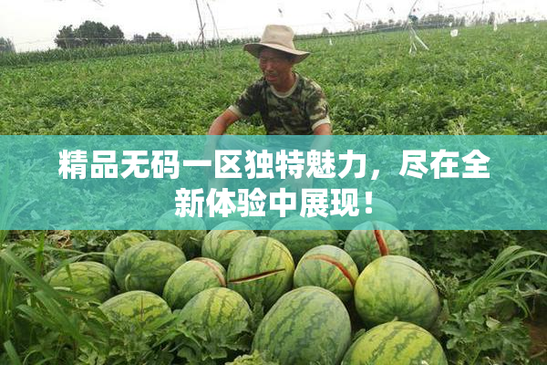 精品无码一区独特魅力，尽在全新体验中展现！