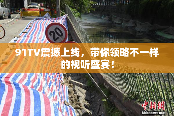 91TV震撼上线，带你领略不一样的视听盛宴！