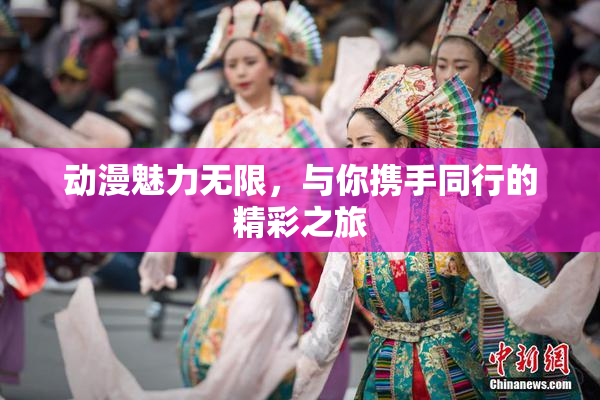 动漫魅力无限，与你携手同行的精彩之旅