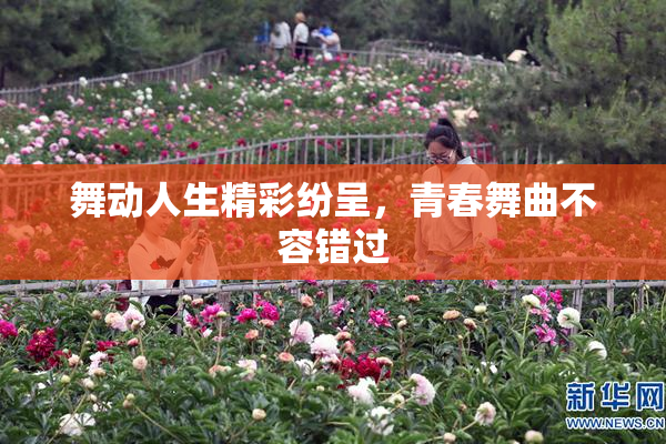 舞动人生精彩纷呈，青春舞曲不容错过