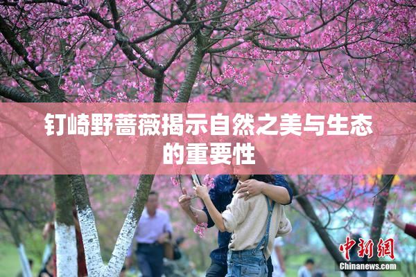 钉崎野蔷薇揭示自然之美与生态的重要性