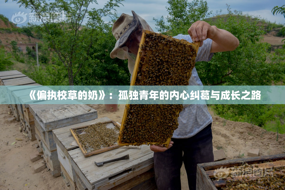 《偏执校草的奶》：孤独青年的内心纠葛与成长之路