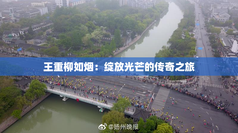 王重柳如烟：绽放光芒的传奇之旅