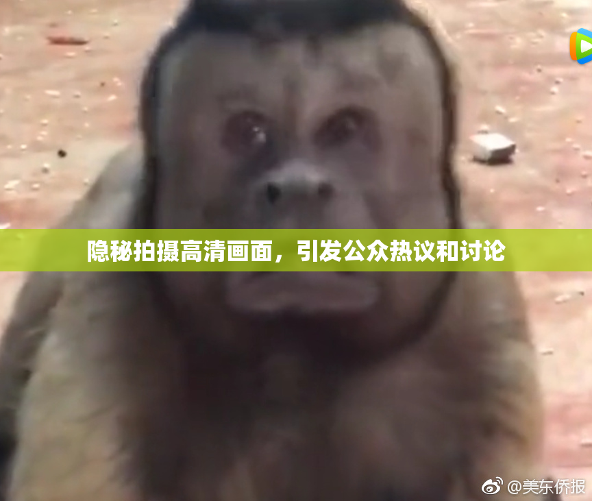 隐秘拍摄高清画面，引发公众热议和讨论