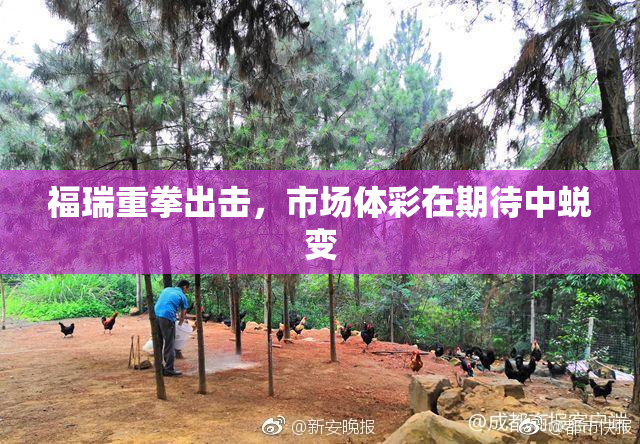 福瑞重拳出击，市场体彩在期待中蜕变