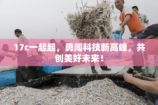 17c一起起，勇闯科技新高峰，共创美好未来！