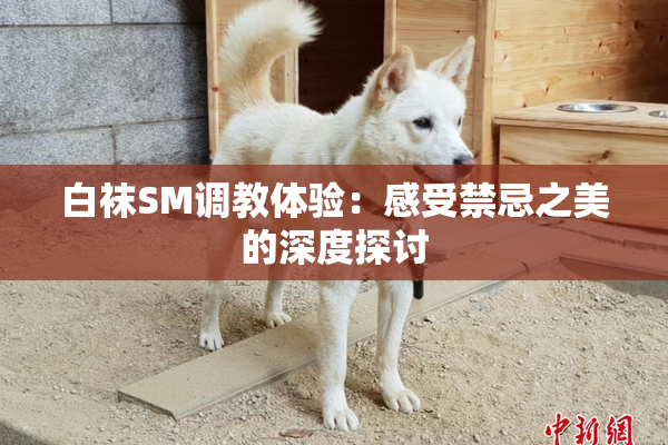 白袜SM调教体验：感受禁忌之美的深度探讨