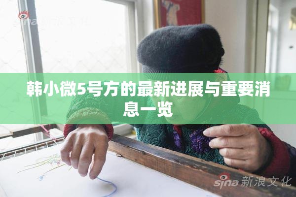 韩小微5号方的最新进展与重要消息一览