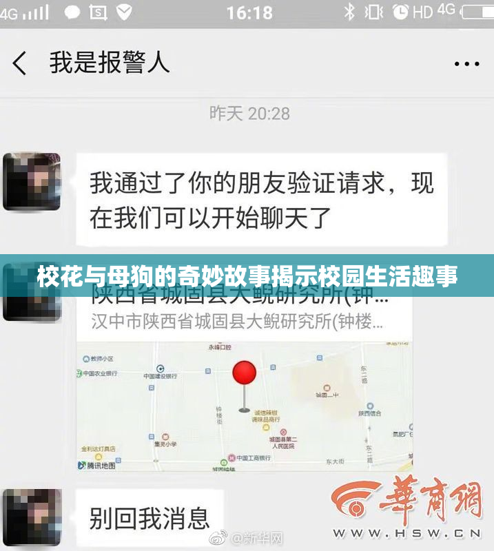 校花与母狗的奇妙故事揭示校园生活趣事