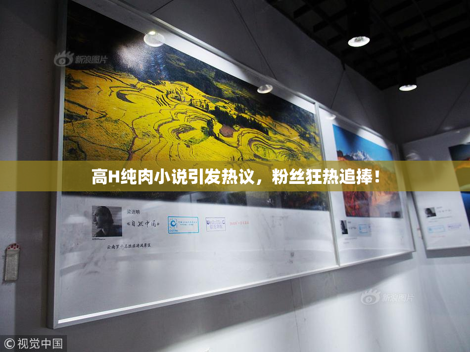 高H纯肉小说引发热议，粉丝狂热追捧！