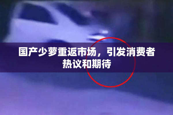 国产少萝重返市场，引发消费者热议和期待