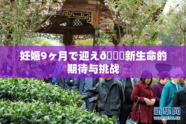 妊娠9ヶ月で迎え🌃新生命的期待与挑战