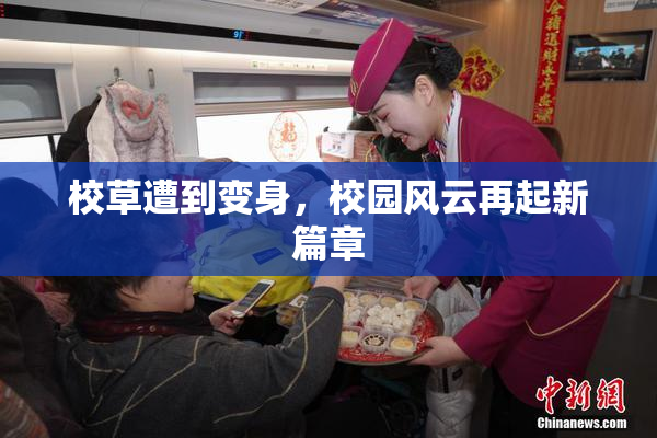 校草遭到变身，校园风云再起新篇章