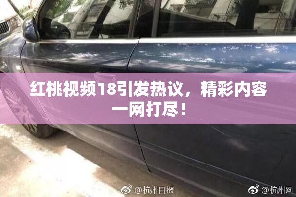 红桃视频18引发热议，精彩内容一网打尽！