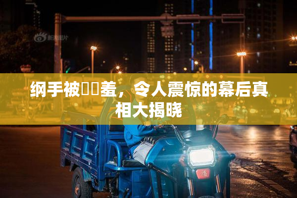 纲手被❌‌羞，令人震惊的幕后真相大揭晓