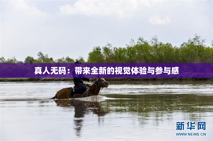 真人无码：带来全新的视觉体验与参与感