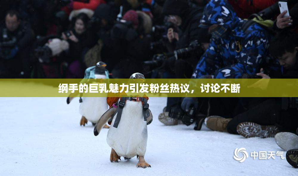 纲手的巨乳魅力引发粉丝热议，讨论不断