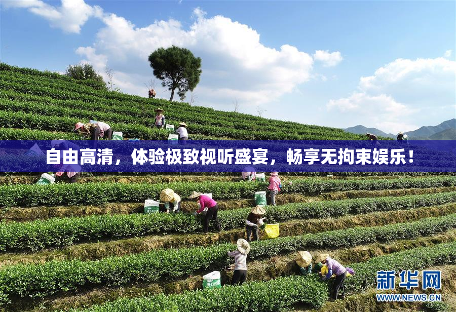 自由高清，体验极致视听盛宴，畅享无拘束娱乐！
