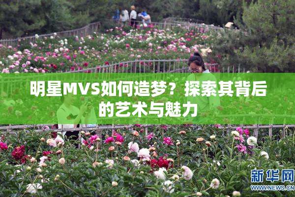 明星MVS如何造梦？探索其背后的艺术与魅力